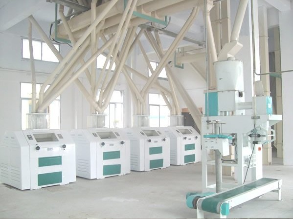 Corn processing equipment