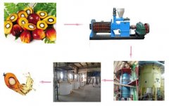 50TPD palm kernel oil production machine was set up in Ghana
