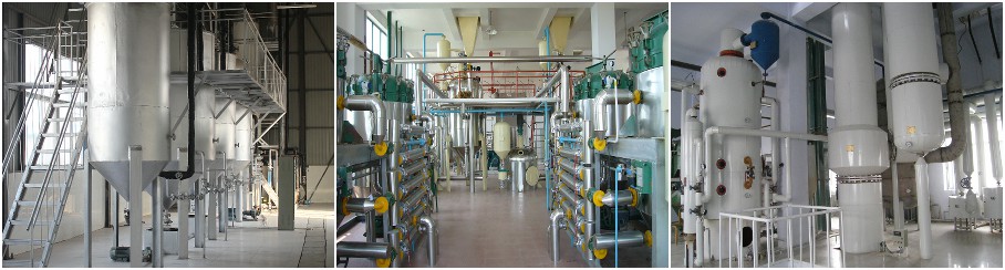 Complete Palm Oil Milling and Refining Plant