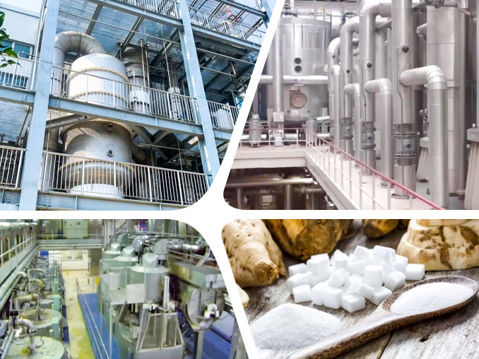 Beet Sugar Processing Plant overview
