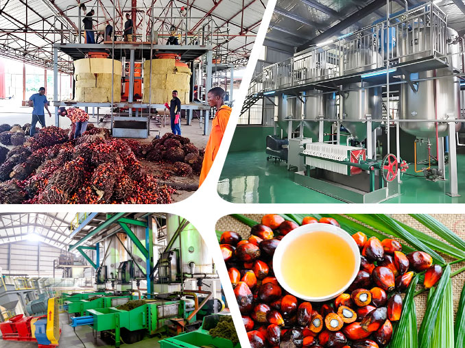 Palm oil production line overview