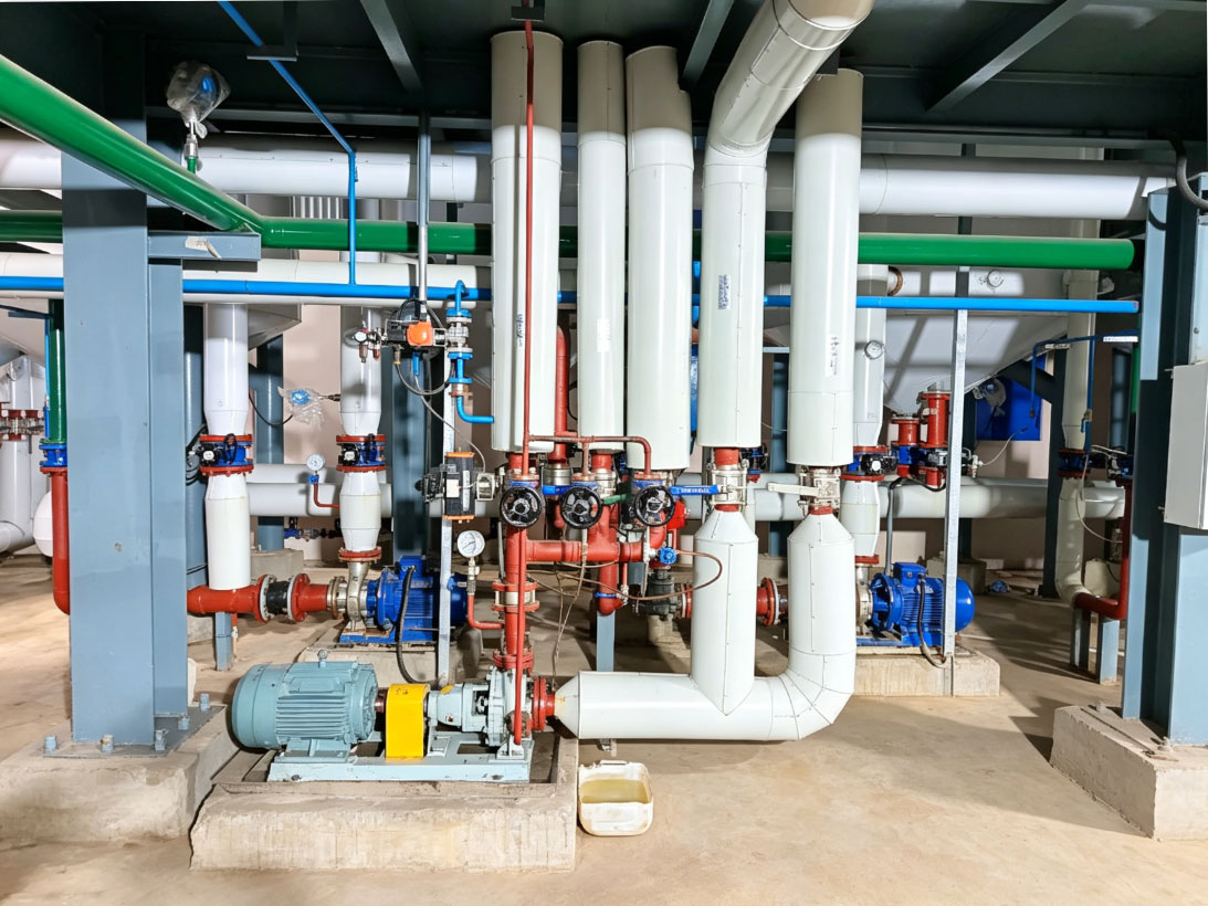 Mustard Oil production line overview