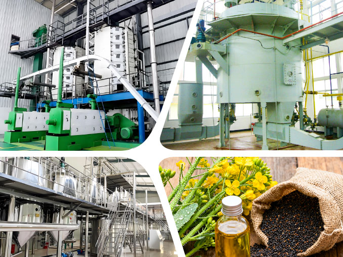 Rapeseed Oil production line overview