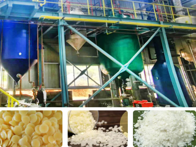Rice Bran Wax Refining overview