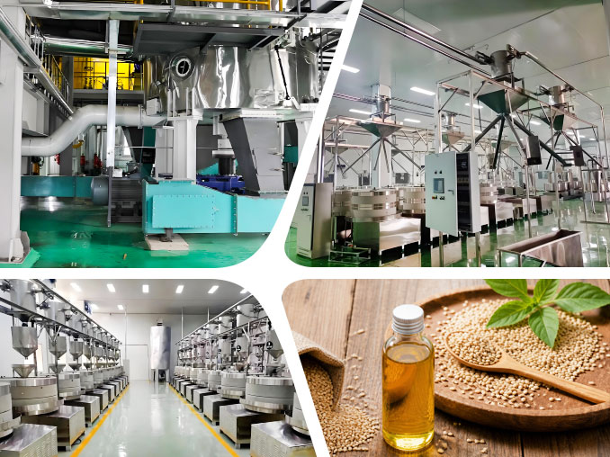 Sesame Oil Production Line overview