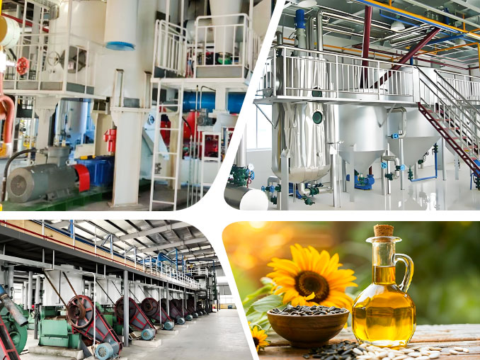 Sunflower Oil production line overview