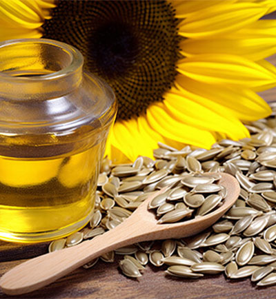 Sunflower oil production line