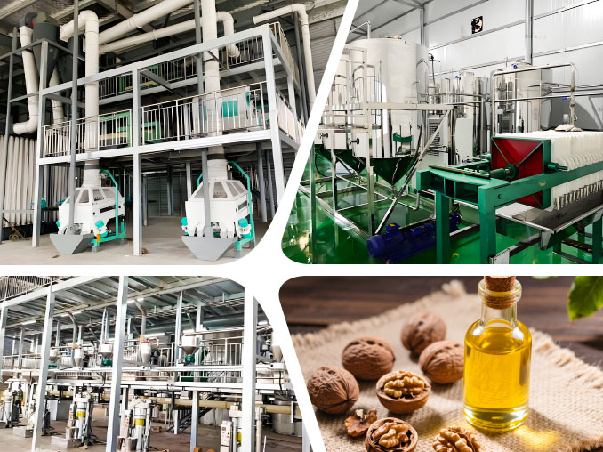 Walnut Oil production line overview