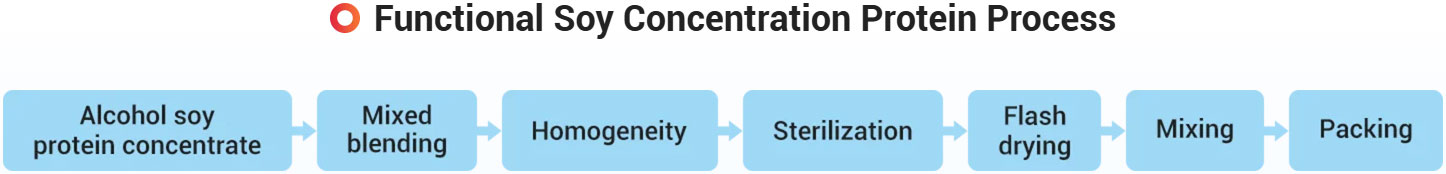 Soybean Protein Concentrate (SPC) Plant