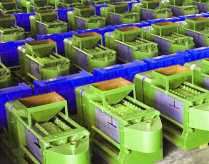 Palm kernel oil production line