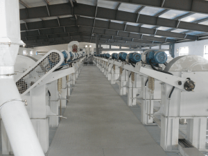 Rice processing technology and equipment