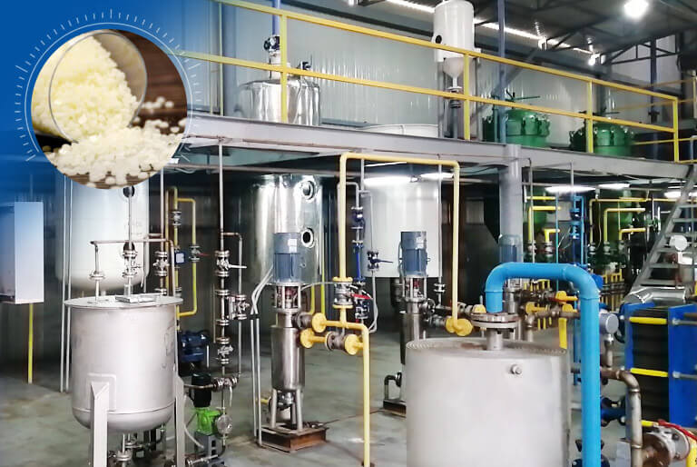 Rice Bran Wax Refining 