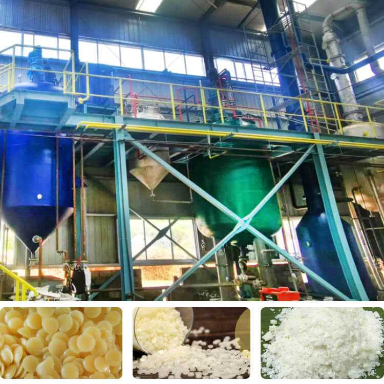 Rice Bran Wax Refining