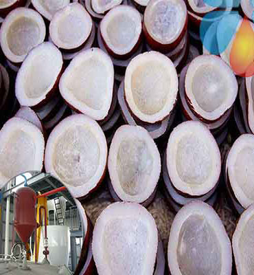 Coconut oil production line