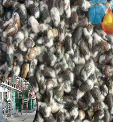 Cottonseed oil production line