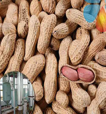 Peanut oil production line