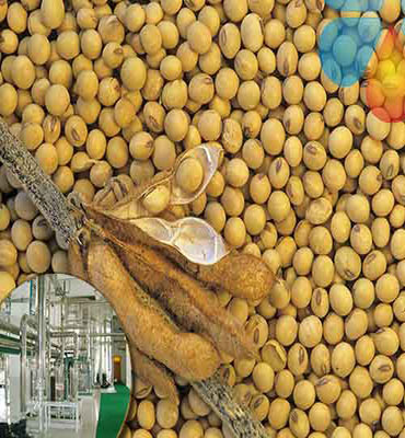 Soybean oil production line