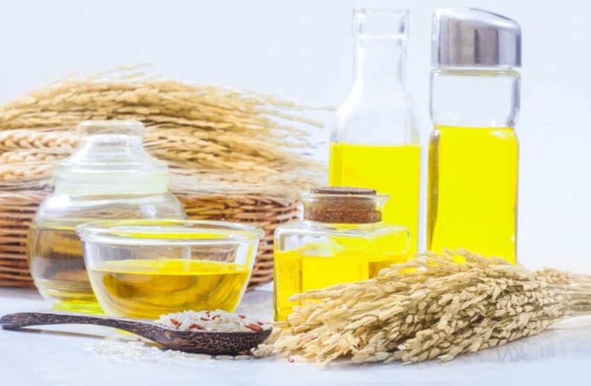 Advanced Turnkey Rice Bran Oil Production Maximizes Yield