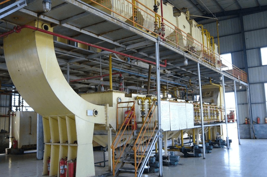 Optimized Rice Bran Pretreatment Enhances Extraction Efficiency