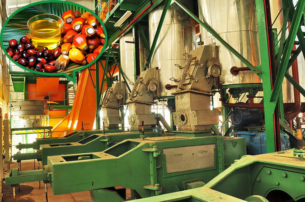 Precision fractionation enhances Olein yield, elevates value