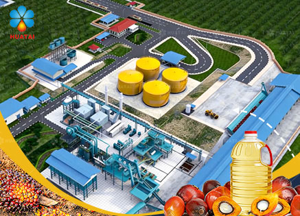 Palm Oil Production Line 3D Video
