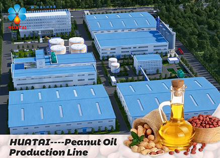 Peanut Oil Production Line 3D Video
