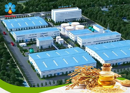 Rice Brain Oil Production Line 3D Video
