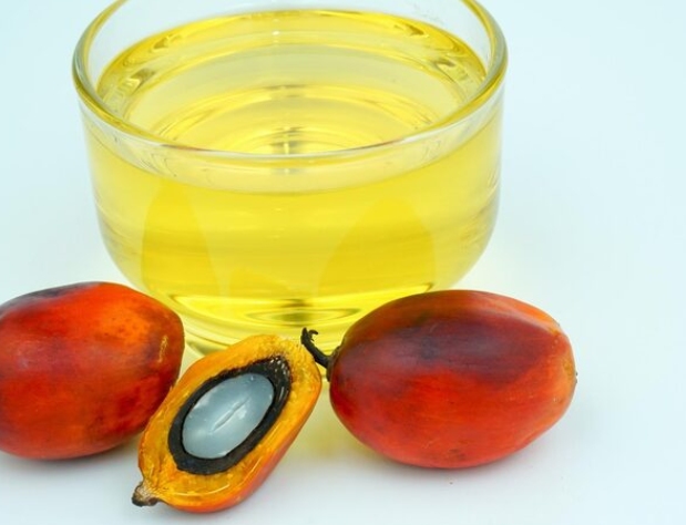 Advanced Engineering Solutions Optimize Efficient Palm Kernel Refining
