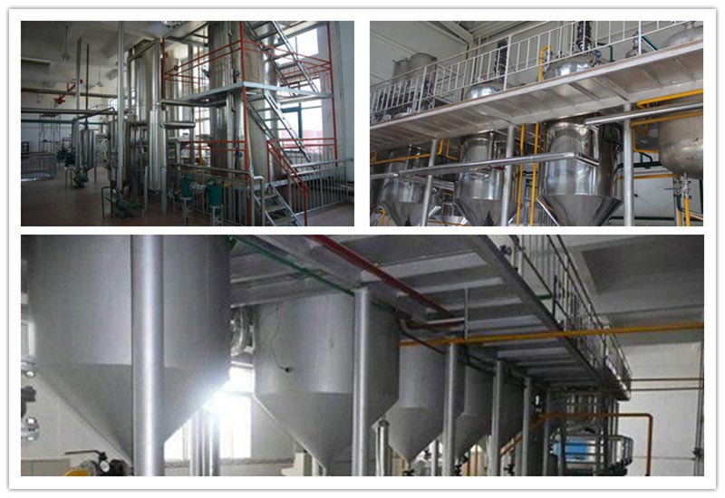Edible Oil Deacidification System: Packing Tower & Alkali Refining Solutions