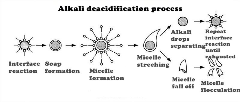 Edible Oil Deacidification System: Packing Tower & Alkali Refining Solutions