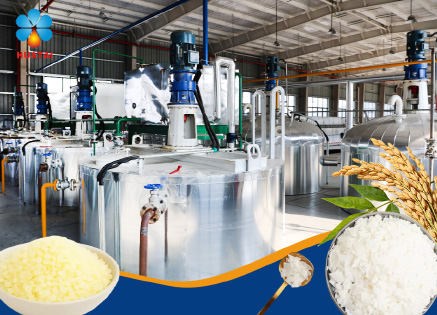 Refined Rice Bran Wax Production Line Shipment Site