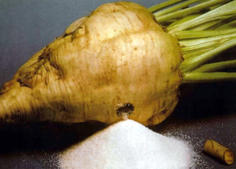 Beet Sugar Processing Plant