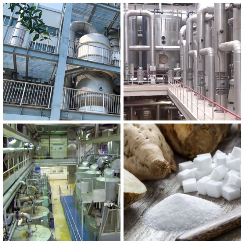 Beet Sugar Processing Plant