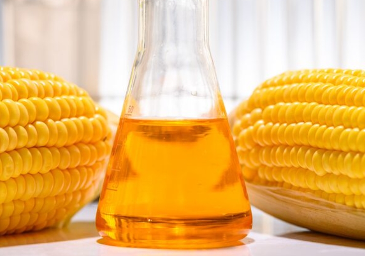 Advanced corn germ oil solutions ensuring purity, efficiency, sustainability
