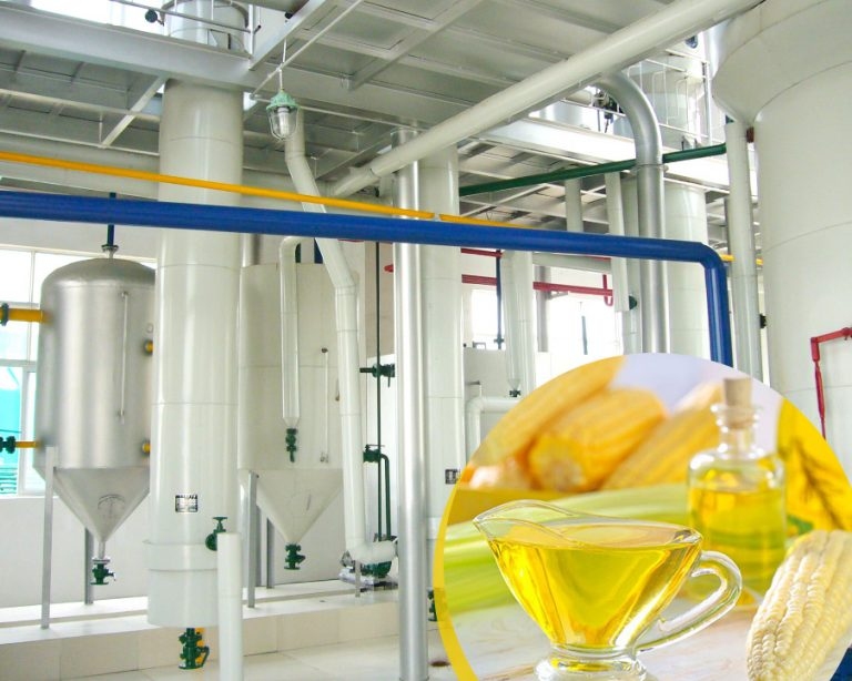 Precision corn germ processing maximizing oil purity and extraction efficiency
