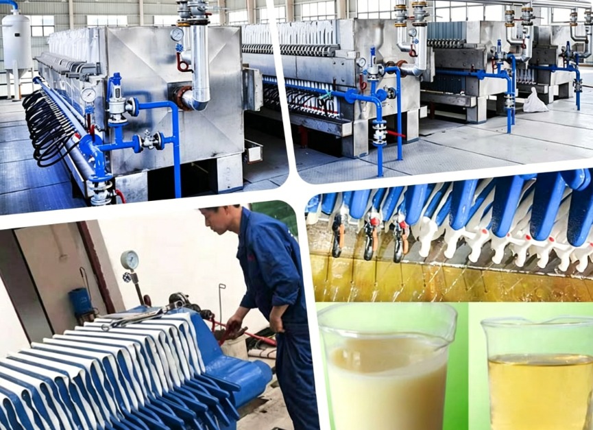 Turnkey safflower oil solutions offer expert design, support, and reliable service