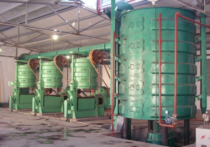 The process involves flaking and cooking to achieve the optimal state for extraction.