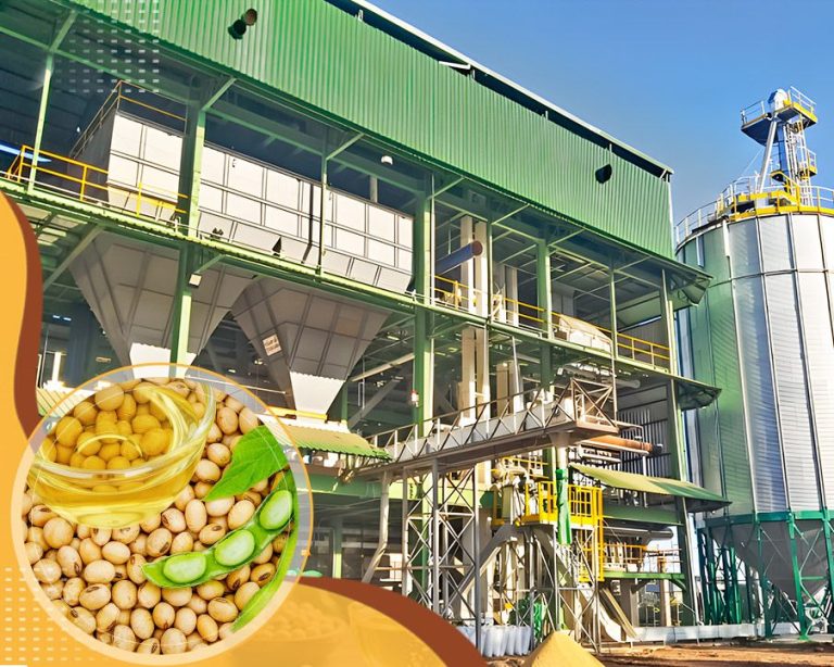 soybean oil one of the most produced oils in the world