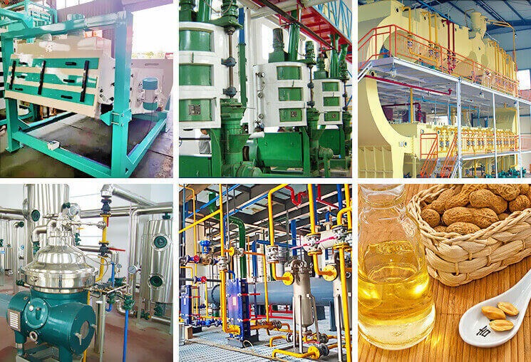 Modular plant designs allow step-by-step expansion without large building changes