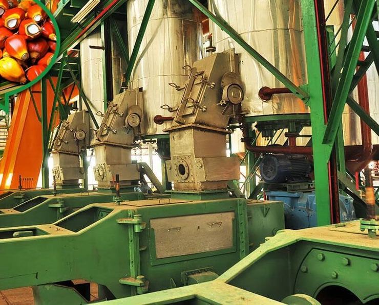 Industrial palm oil digestion and pressing equipment in a processing hall