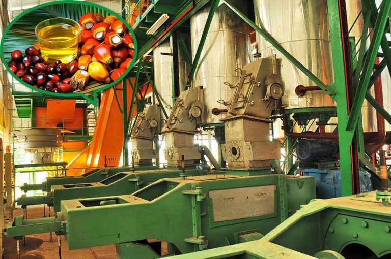 Palm oil fractionation and refining equipment showing how crude oil moves into higher-value product streams