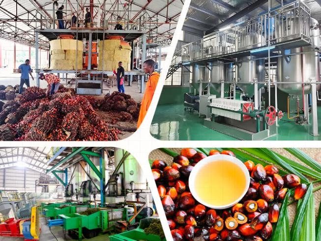 kernel recovery equipment arranged in a palm oil production line