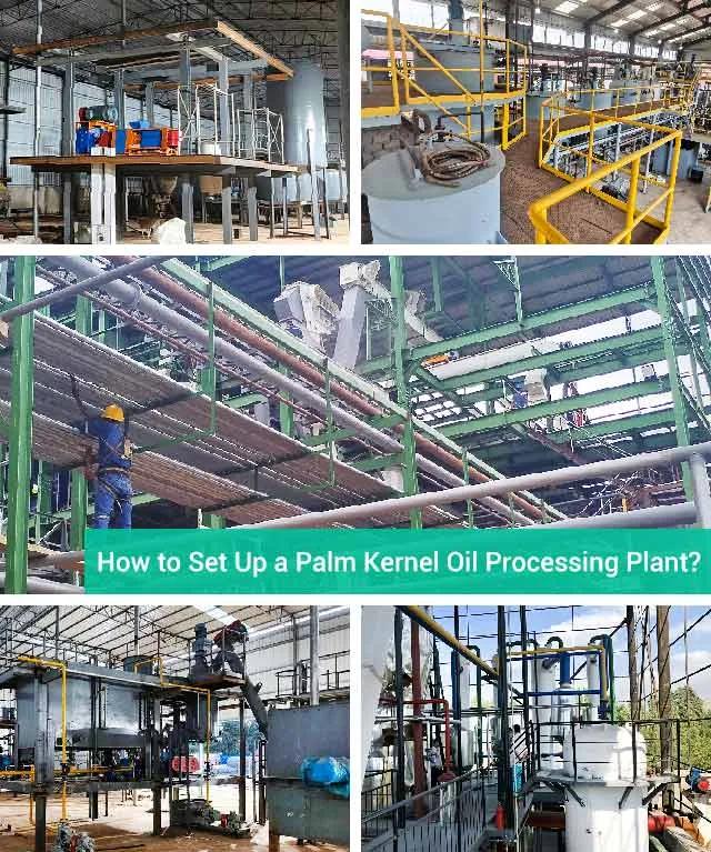 Palm Kernel Oil Expeller