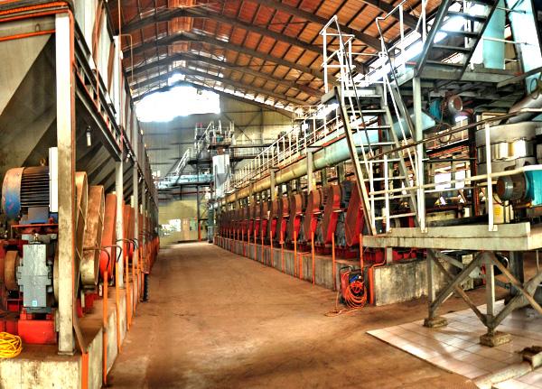 Palm Kernel Oil Expeller for Industrial Oil Extraction