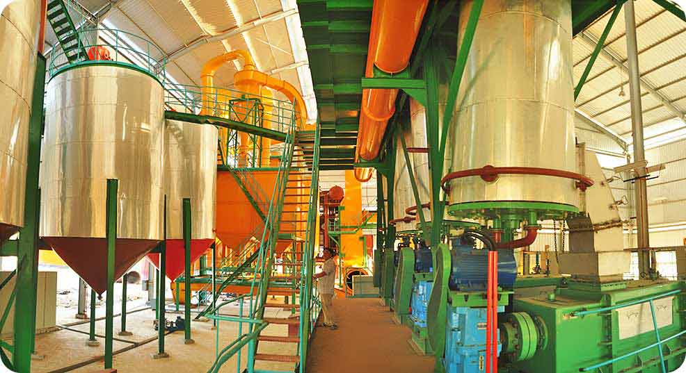 Palm fruit oil press