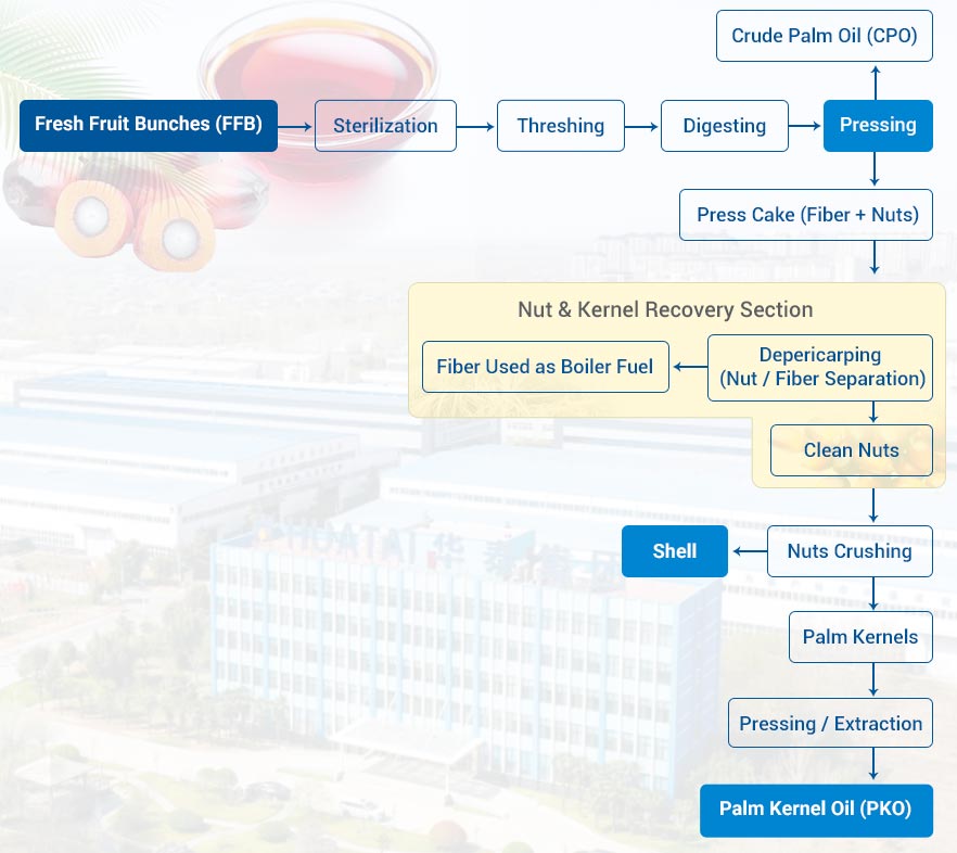 Palm Kernel Oil Extraction Process Flow
